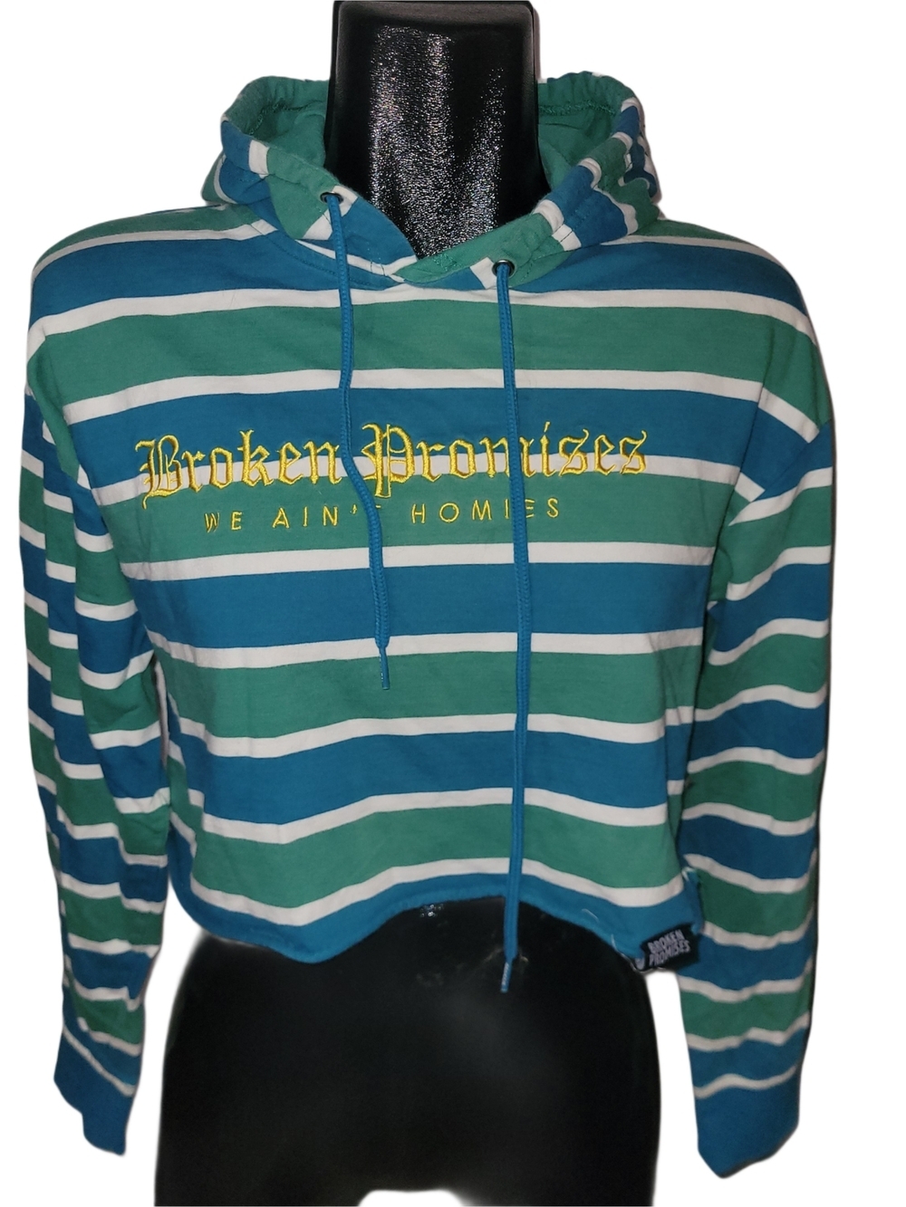 Zumiez Broken Promises 'We Ain't Homies' Striped Green & Blue Cropped Hoodie M